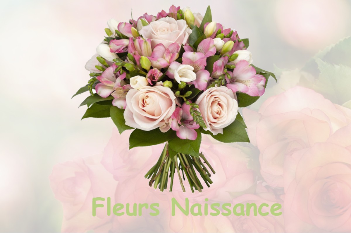 fleurs naissance LABROQUERE