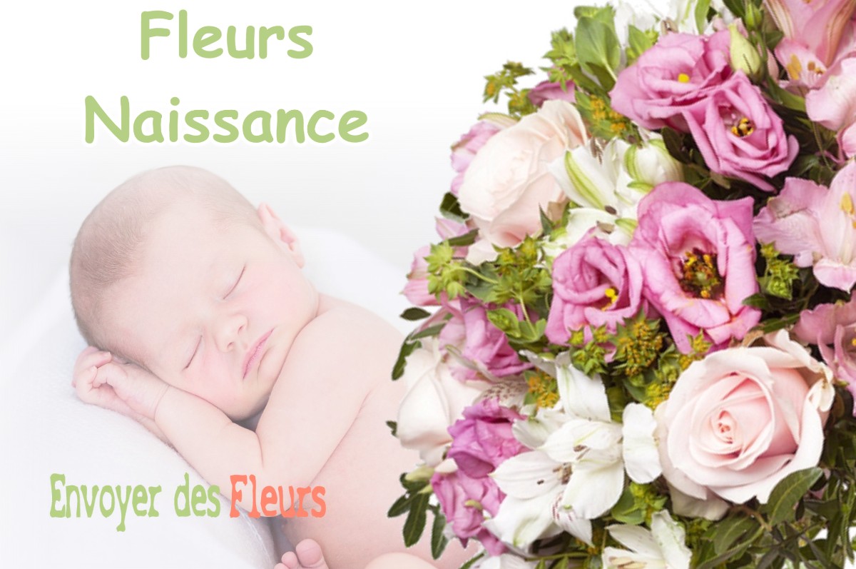 lIVRAISON FLEURS NAISSANCE à LABROQUERE